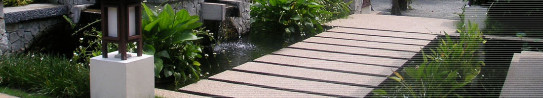 Holzsteg über einen Teich in einem grünen Garten
