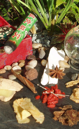 Chinesische Heilkräuter, Sternanis und Goji-Beeren