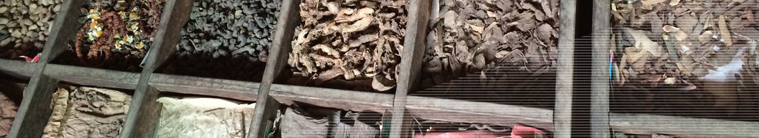 Holzkasten mit getrockneten chinesischen Heilkräutern